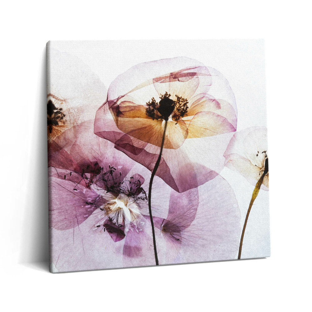 Tablou pe pânză canvas 60x60 Flori de mac uscate