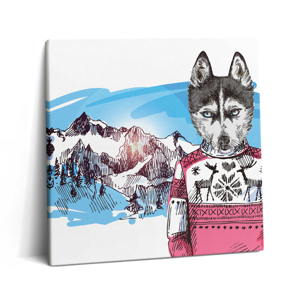 Tablou pe pânză canvas 60x60 Husky într-un pulover