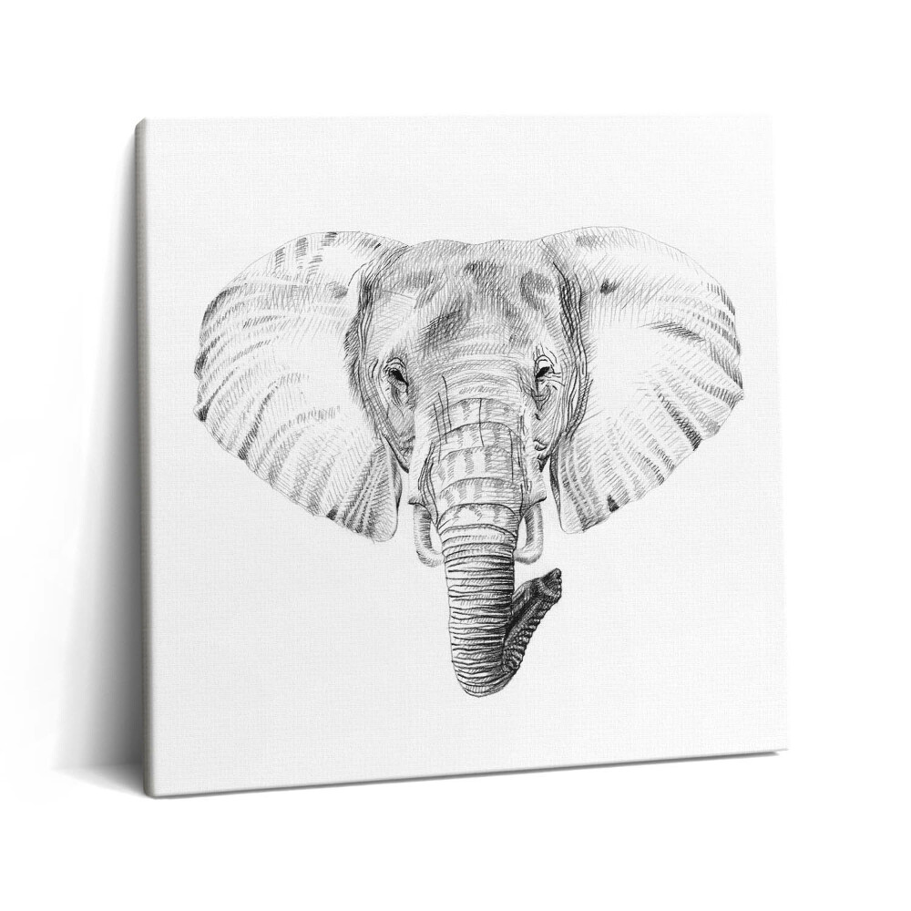 Tablou pe pânză canvas 60x60 Desenul unui cap de elefant