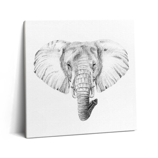 Tablou pe pânză canvas 60x60 Desenul unui cap de elefant