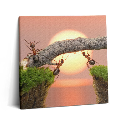 Tablou pe pânză canvas 60x60 Furnici pe un trunchi de copac