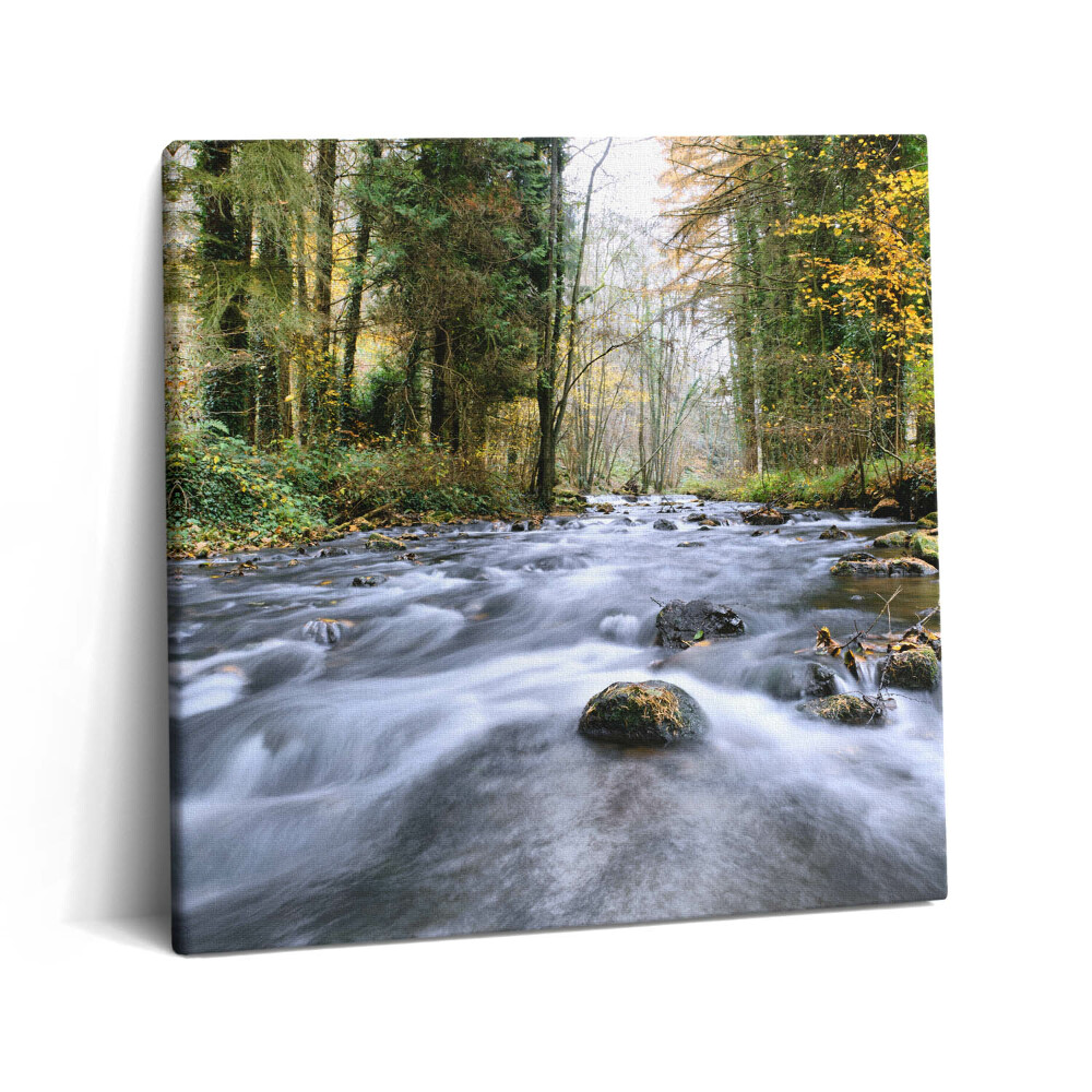 Tablou pe pânză canvas 60x60 Pârâu de munte