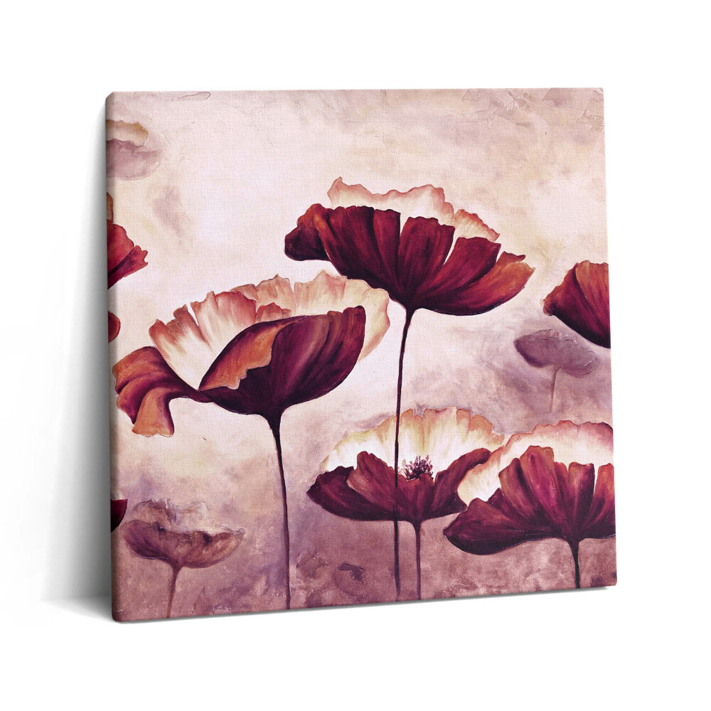 Tablou pe pânză canvas 60x60 Flori de mac înflorite