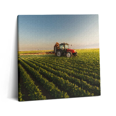 Tablou pe pânză canvas 60x60 Tractorul stropește câmpul
