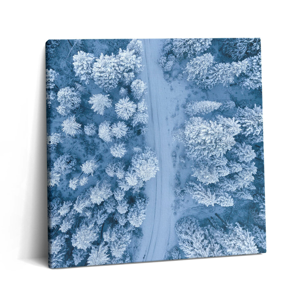 Tablou pe pânză canvas 60x60 Vedere aeriană a pădurii. Drone