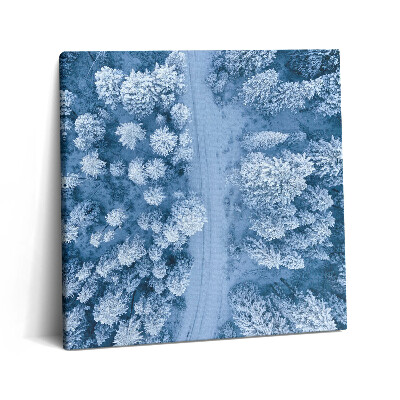 Tablou pe pânză canvas 60x60 Vedere aeriană a pădurii. Drone