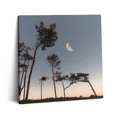 Tablou pe pânză canvas 60x60 Semilună și copaci