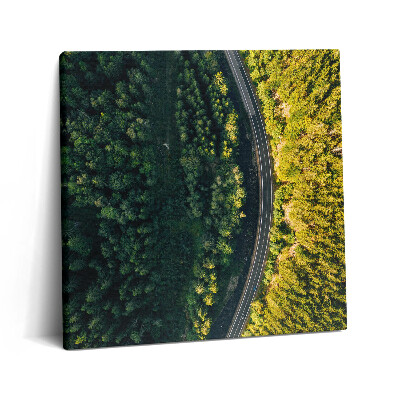 Tablou pe pânză canvas 60x60 Pădurea dintr-o dronă - Muntele Śnieżka