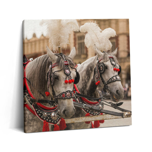 Tablou pe pânză canvas 60x60 Cai frumoși în Cracovia