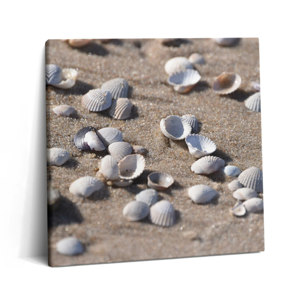 Tablou pe pânză canvas 60x60 Scoici pe plajă
