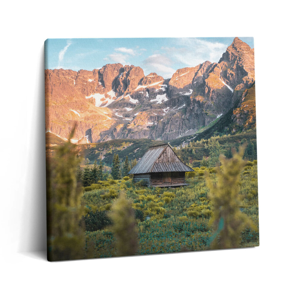 Tablou pe pânză canvas 60x60 O căsuță în Tatra