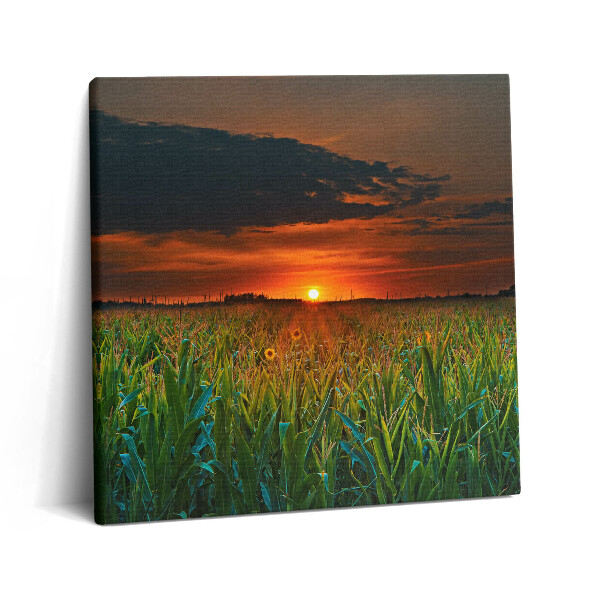 Tablou pe pânză canvas 60x60 Floarea-soarelui în pajiște