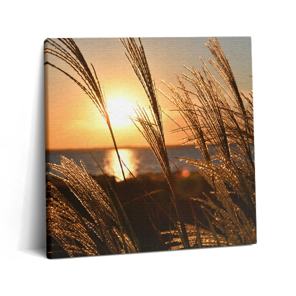 Tablou pe pânză canvas 60x60 Grâul în ora de aur