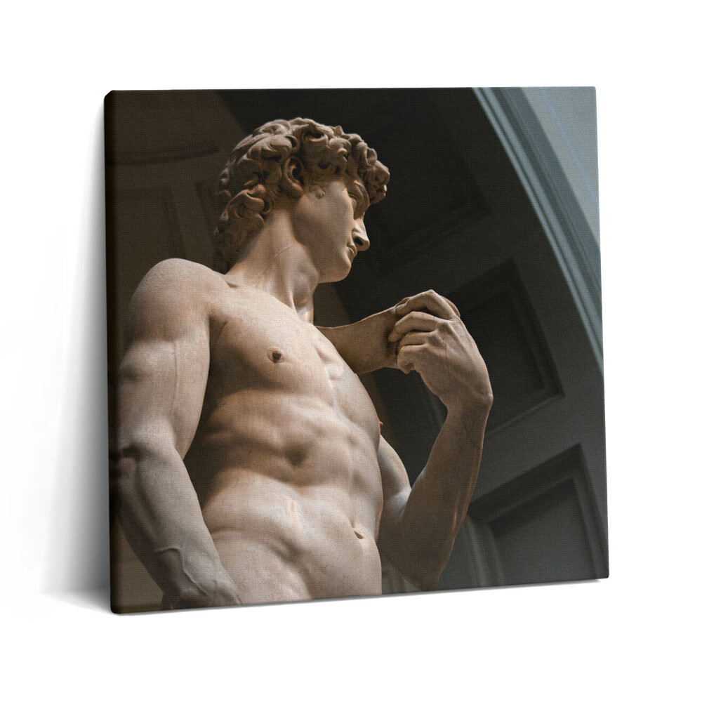 Tablou pe pânză canvas 60x60 Sculptura lui David - Michelangelo