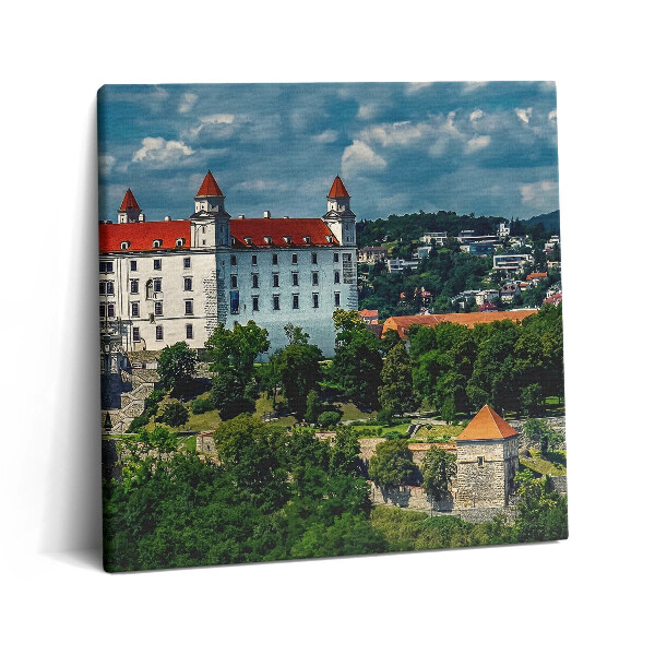 Tablou pe pânză canvas 60x60 Castelul Bratislava