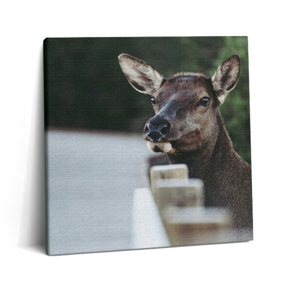 Tablou pe pânză canvas 60x60 Cap de cerb