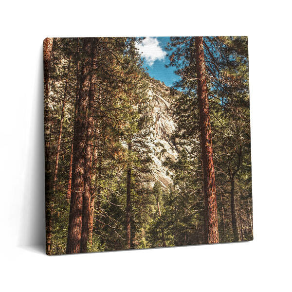 Tablou pe pânză canvas 60x60 Pădurea din Valea Yosemite