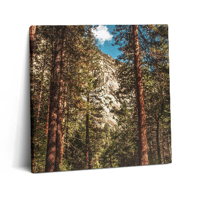 Tablou pe pânză canvas 60x60 Pădurea din Valea Yosemite