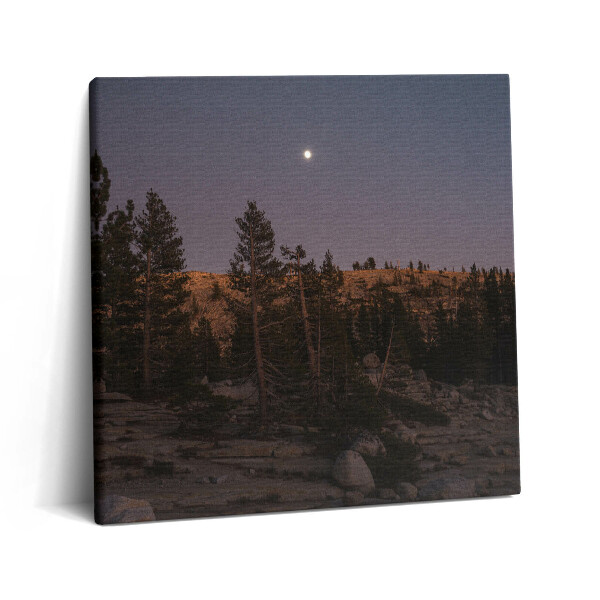 Tablou pe pânză canvas 60x60 Drum stâncos în Yosemite