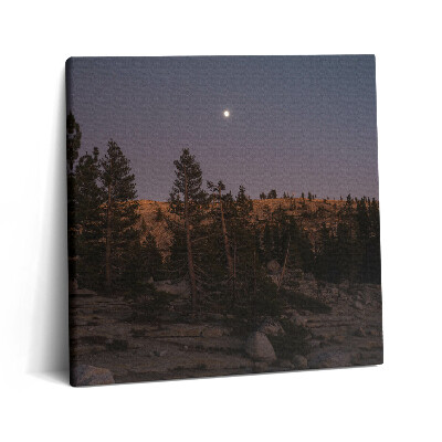 Tablou pe pânză canvas 60x60 Drum stâncos în Yosemite