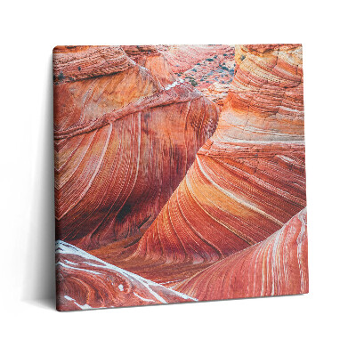 Tablou pe pânză canvas 60x60 Marele Canion pitoresc