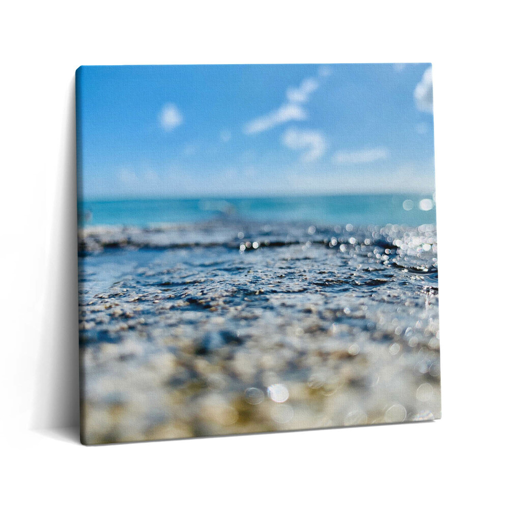 Tablou pe pânză canvas 60x60 Fotografie acvatică