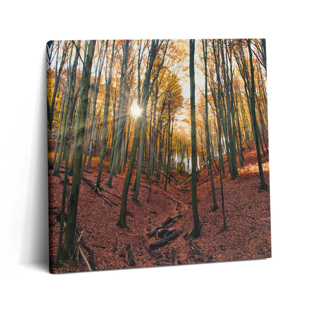 Tablou pe pânză canvas 60x60 Apus de soare și copaci