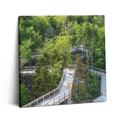 Tablou pe pânză canvas 60x60 Calea în Krynica Zdrój