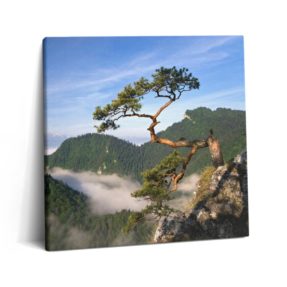 Tablou pe pânză canvas 60x60 Vârful Sokolica din Munții Pieniny