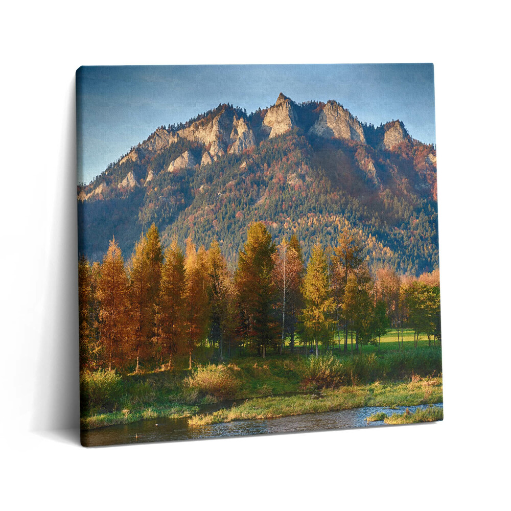 Tablou pe pânză canvas 60x60 Vârful Trei Coroane