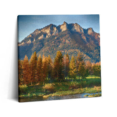 Tablou pe pânză canvas 60x60 Vârful Trei Coroane