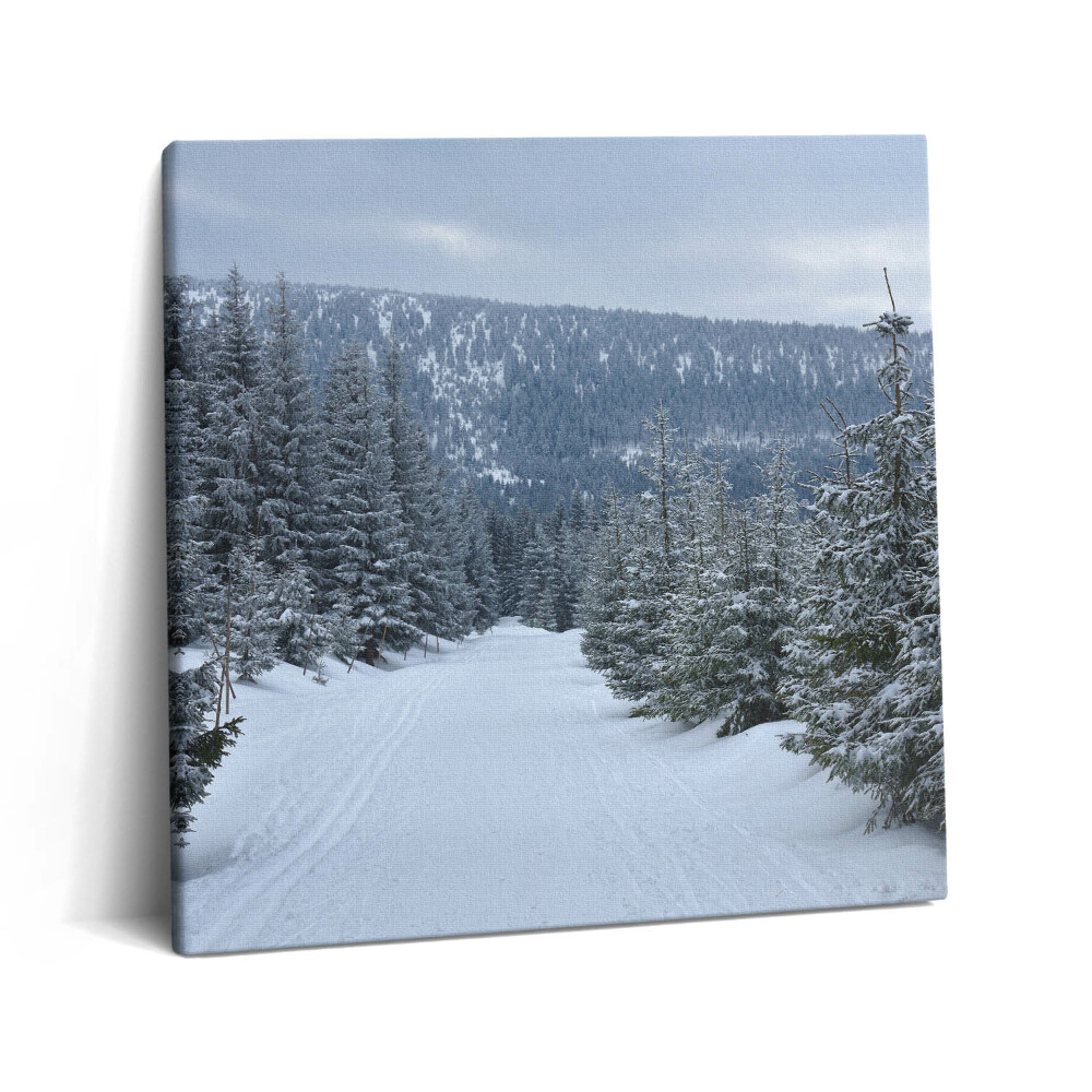 Tablou pe pânză canvas 60x60 Munții Giganți Cehi în timpul iernii