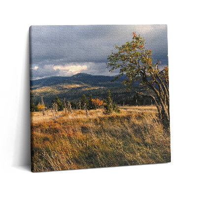 Tablou pe pânză canvas 60x60 Karkonosze în toamnă