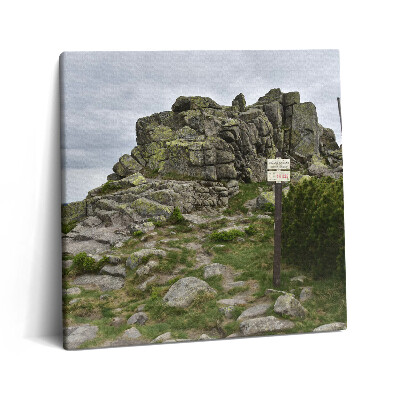 Tablou pe pânză canvas 60x60 Traseu în Munții Karkonosze