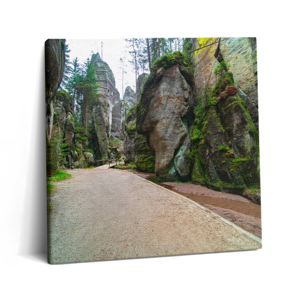 Tablou pe pânză canvas 60x60 Orașul rock din Republica Cehă