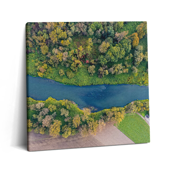 Tablou pe pânză canvas 60x60 Rujeola în Republica Cehă