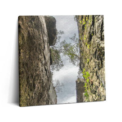 Tablou pe pânză canvas 60x60 Orașul rock din Republica Cehă