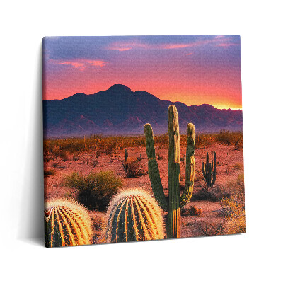 Tablou pe pânză canvas 60x60 Apus de soare în deșert