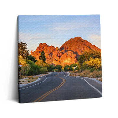 Tablou pe pânză canvas 60x60 Vedere a Muntelui Camelback