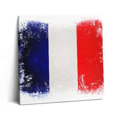 Tablou pe pânză canvas 60x60 Drapelul francez