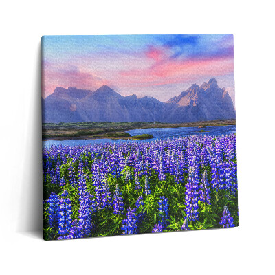 Tablou pe pânză canvas 60x60 Câmpuri de lavandă - Islanda