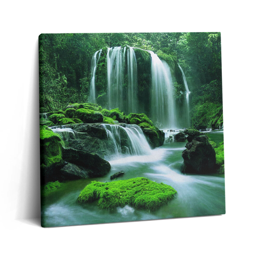 Tablou pe pânză canvas 60x60 Cascadă printre mușchi