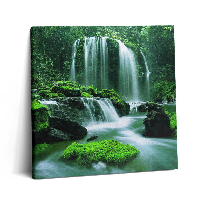 Tablou pe pânză canvas 60x60 Cascadă printre mușchi