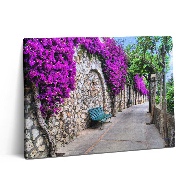 Pictură pe pânză 80x60 Drumul Florilor din Capri, Italia