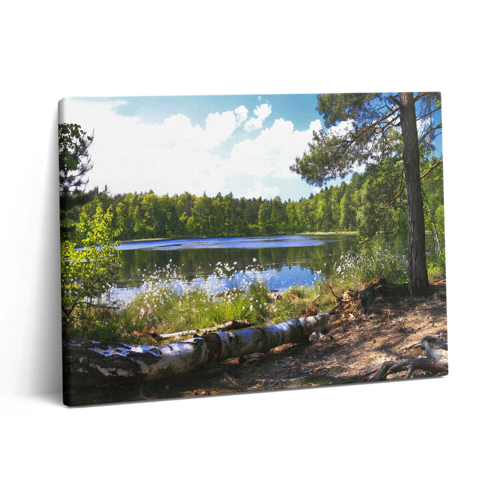 Pictură pe pânză 80x60 Vedere a lacului în pădure