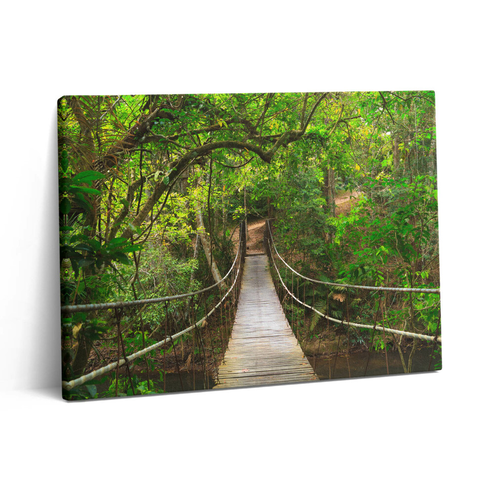 Pictură pe pânză 80x60 Pod în jungla Khao Yai