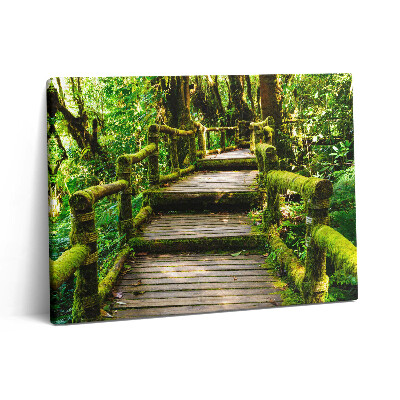 Pictură pe pânză 80x60 Pasarelă pietonală din lemn - agroturism