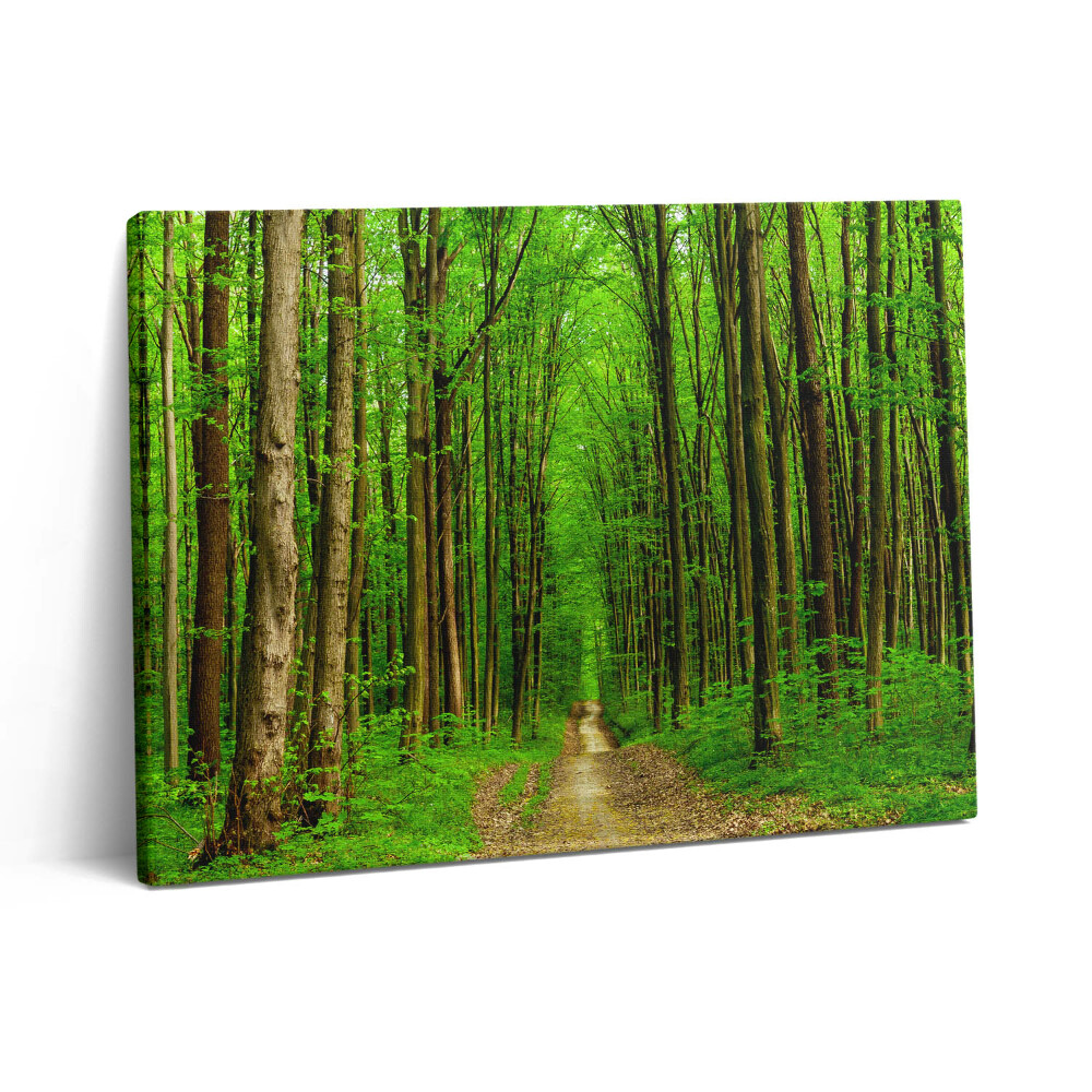 Pictură pe pânză 80x60 Drum forestier printre copaci