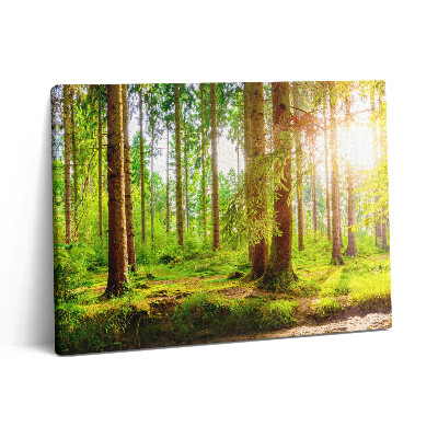 Pictură pe pânză 80x60 Pădurea la soare