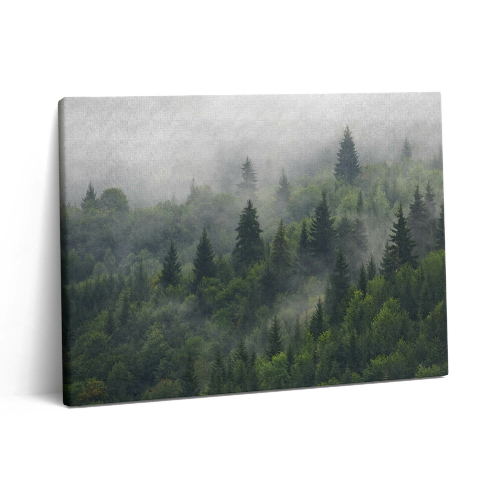 Pictură pe pânză 80x60 Peisaj forestier în ceață